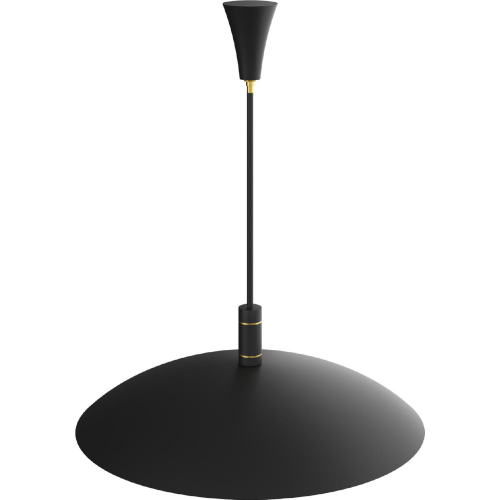 Wendell Ceiling Pendant Light in Black Aluminum & Brass Iron